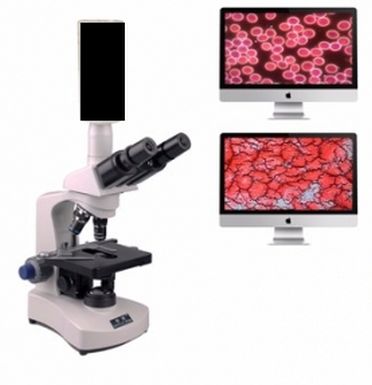 Live Blood Darkfield Microscope